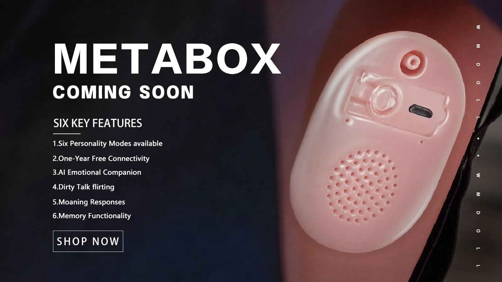 Metabox: Jinsan's AI Sound System – Redefining Realism for Sex Dolls!